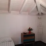 & Mountain Apartament